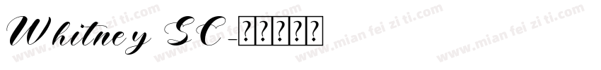 Whitney SC字体转换